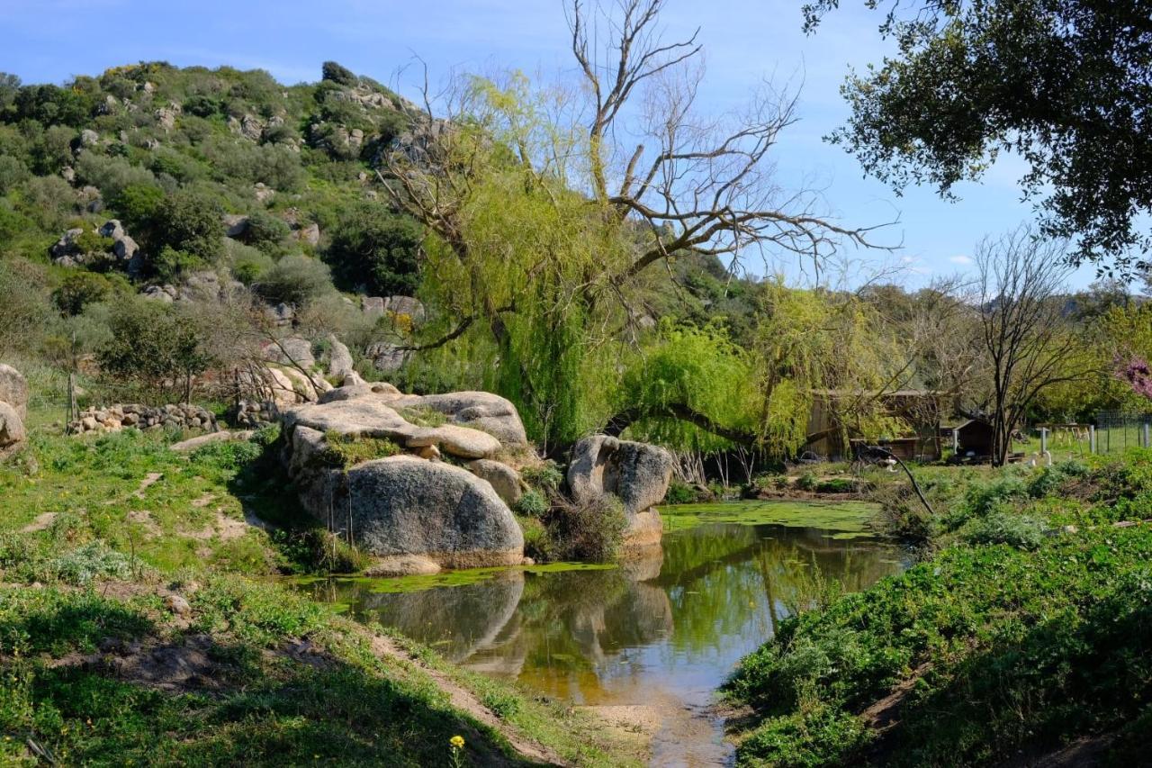 Il Nuraghe Del Lago Coghinas Oschiri Εξωτερικό φωτογραφία
