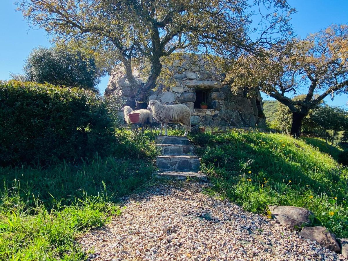 Il Nuraghe Del Lago Coghinas Oschiri Εξωτερικό φωτογραφία