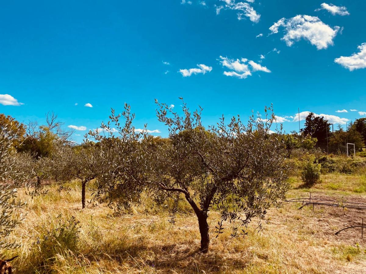 Il Nuraghe Del Lago Coghinas Oschiri Εξωτερικό φωτογραφία
