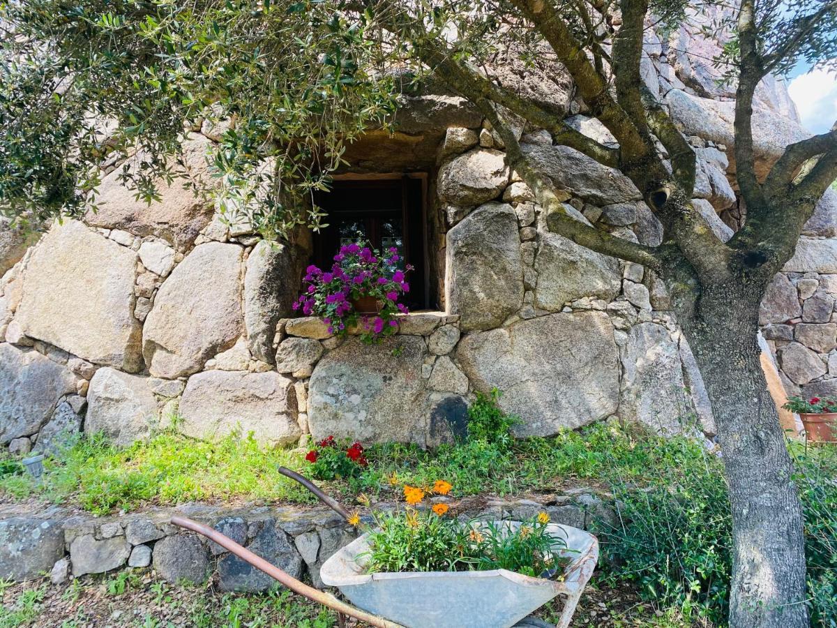 Il Nuraghe Del Lago Coghinas Oschiri Εξωτερικό φωτογραφία