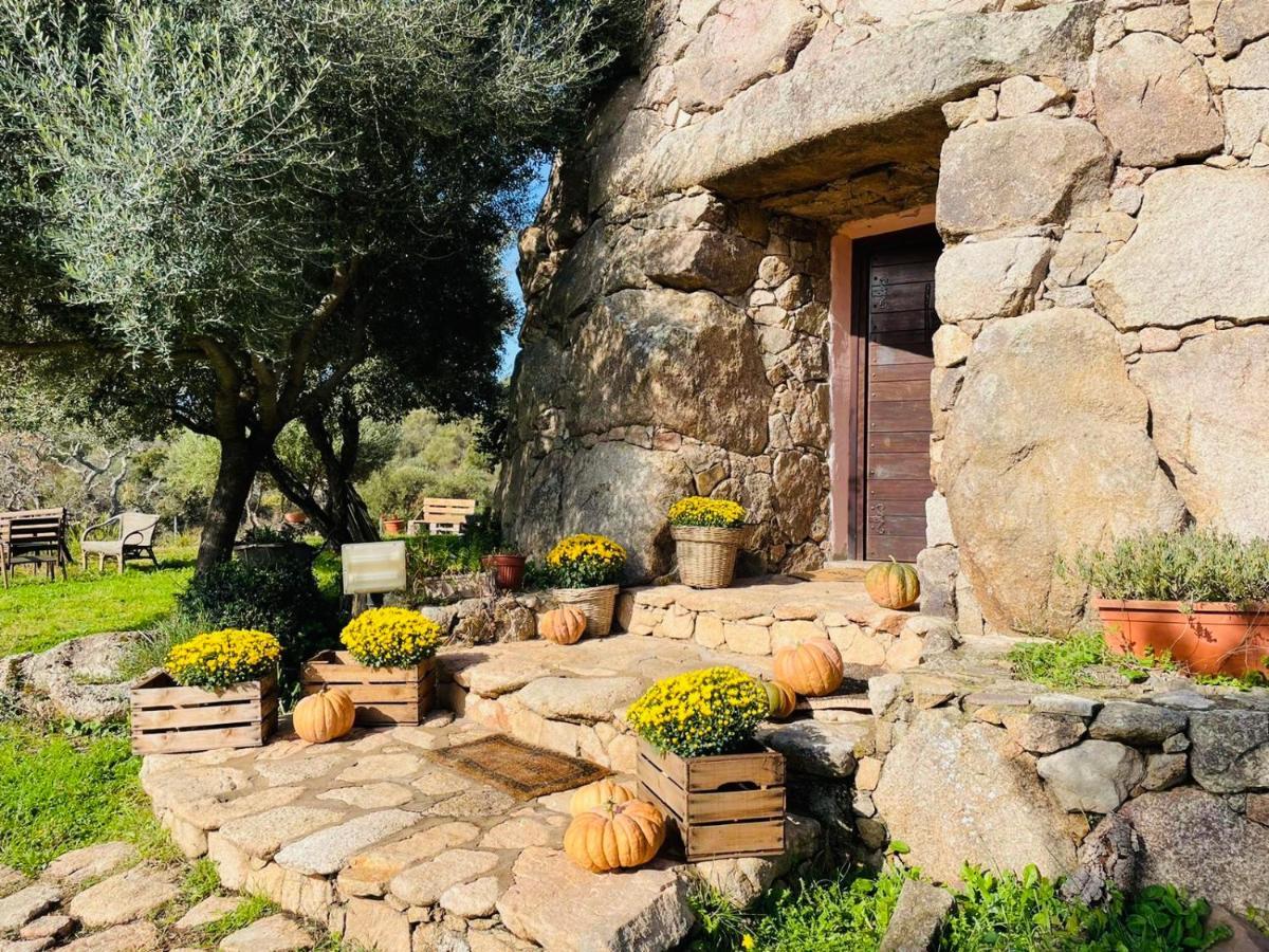 Il Nuraghe Del Lago Coghinas Oschiri Εξωτερικό φωτογραφία