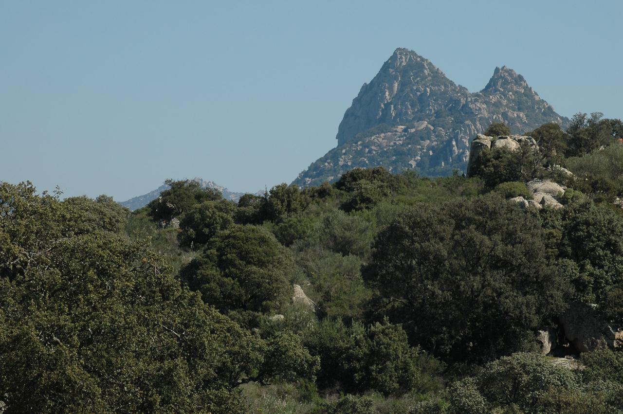 Il Nuraghe Del Lago Coghinas Oschiri Εξωτερικό φωτογραφία