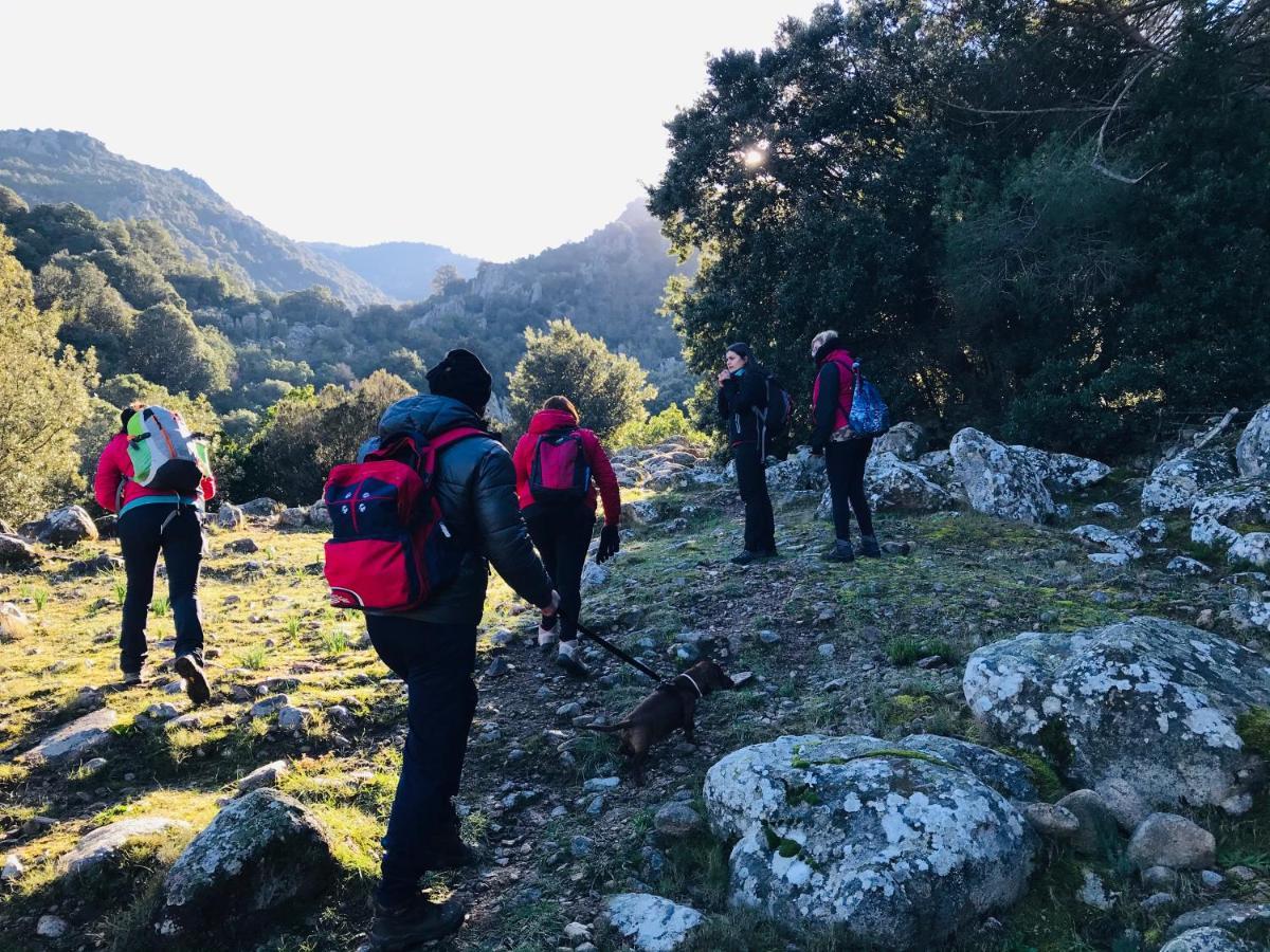 Il Nuraghe Del Lago Coghinas Oschiri Εξωτερικό φωτογραφία